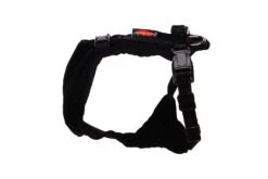 Grossenbacher Geschirr Schwarz