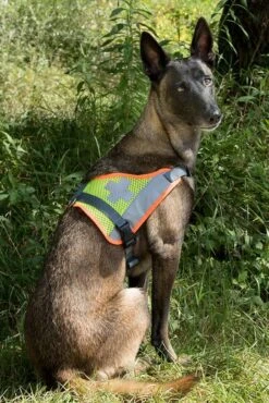 Grossenbacher Kenndecke Sanität