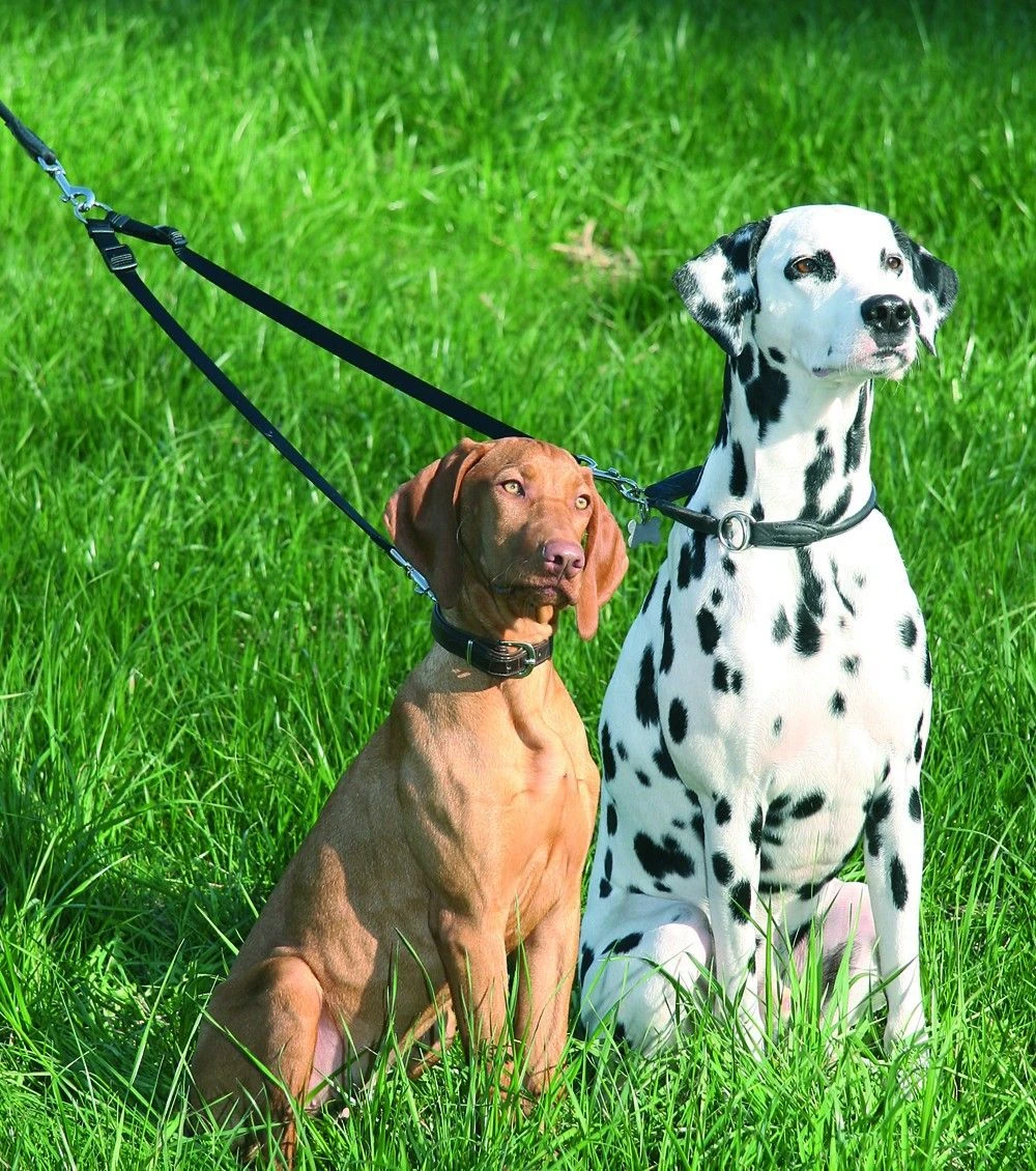 Hunter Koppler Verstellbar 3 Hunter Koppler Verstellbar