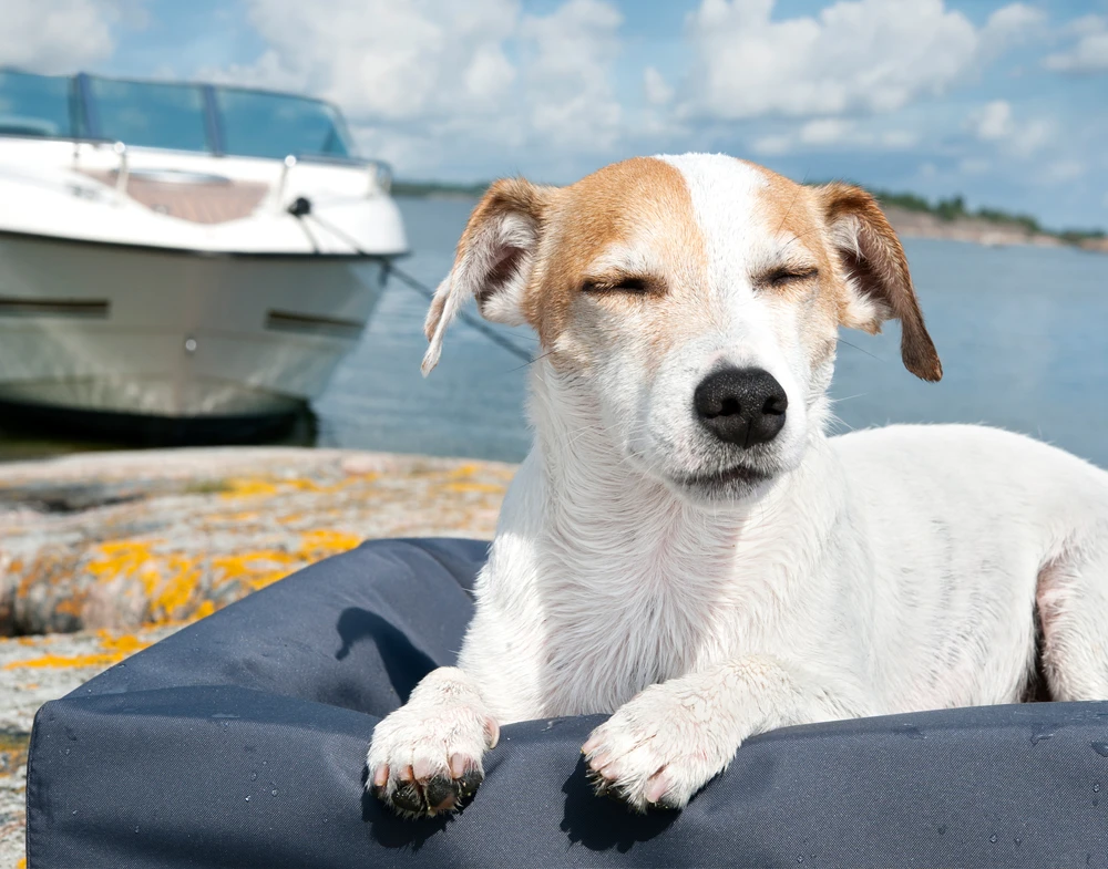 Bia Überzug OUTDOOR 6 Bia Überzug OUTDOOR – Bild 4