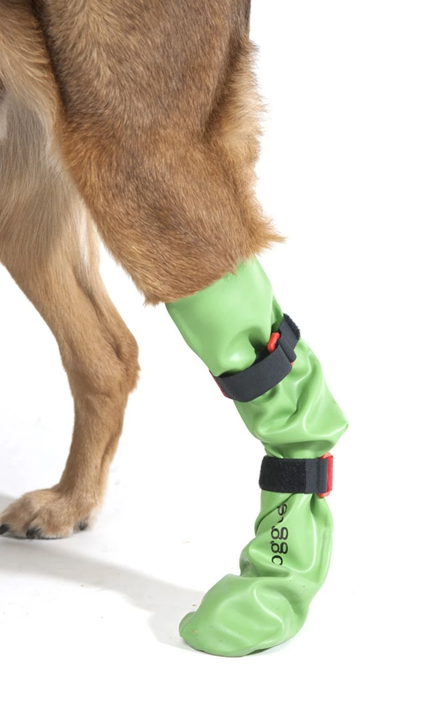 Dog Gusti Latex-Schutzstrumpf 3 Dog Gusti Latex-Schutzstrumpf