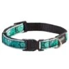 Rogz Fancy Dress Halsband MintDog 2 Rogz Fancy Dress Halsband MintDog -Katzen Hundebedarf Geschäft 100.001.cm