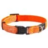 Rogz Fancy Dress Halsband OrangeDoodle 2 Rogz Fancy Dress Halsband OrangeDoodle -Katzen Hundebedarf Geschäft 100.001.cp