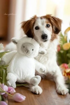 Frauchens Liebling Kuschelschäfchen Emma Weiss 26cm