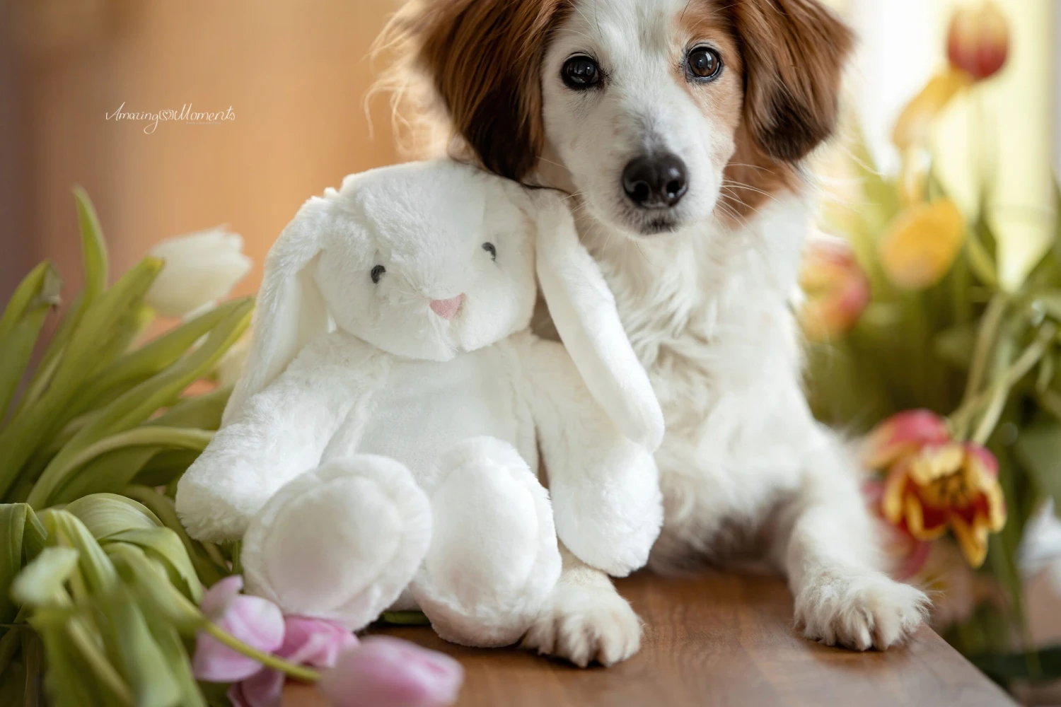 Frauchens Liebling Kuschelhase Leni Weiss 26cm 3 Frauchens Liebling Kuschelhase Leni Weiss 26cm