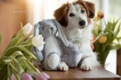 Frauchens Liebling Kuschelhase Elvis Grau 26cm