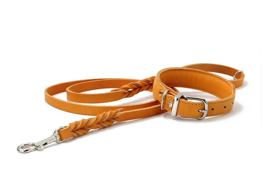 Maul Lederleine Mono Pop Maisgelb / Silber 4 Maul Lederleine Mono Pop Maisgelb / Silber – Bild 2