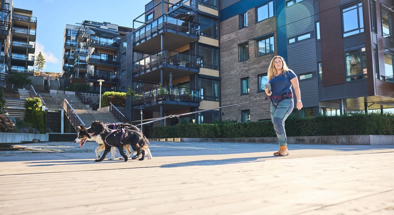 Non-Stop Trekking Belt 2.0 Violett 5 Non-Stop Trekking Belt 2.0 Violett – Bild 3