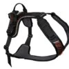 Non-Stop Rock Harness Schwarz/orange 1 Non-Stop Rock Harness Schwarz/orange -Katzen Hundebedarf Geschäft 1300.n 1
