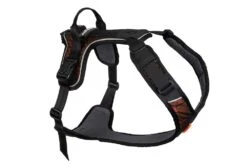Non-Stop Rock Harness Schwarz/orange