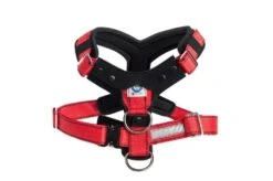 Kleinmetall Allsafe Comfort Hundesicherheitsgurt -Katzen Hundebedarf Geschäft 15390100 6