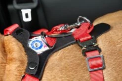 Kleinmetall Allsafe Comfort Hundesicherheitsgurt -Katzen Hundebedarf Geschäft 15390100 8