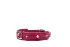 Maul Halsband Ladykracher Himbeere / Silber