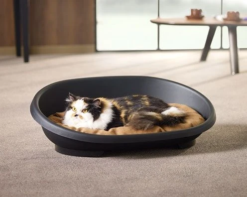 Kunststoffschale Snooze Schwarz 3 Kunststoffschale Snooze Schwarz