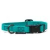 Treusinn Hundehalsband STAY Petrol 2 Treusinn Hundehalsband STAY Petrol -Katzen Hundebedarf Geschäft 20997340