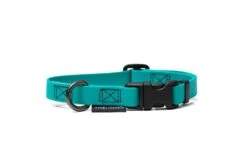 Treusinn Hundehalsband STAY Petrol