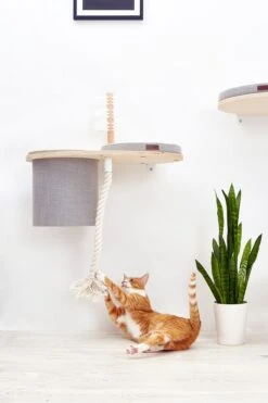 Cosy&Dozy Cat Walk PLAY Set 15 Cosy&Dozy Cat Walk PLAY Set -Katzen Hundebedarf Geschäft 21011 4