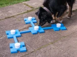 Procyon Schnüffelspass Blau 1x Clicker, 5x Behälter, 9x Teile 5 Procyon Schnüffelspass Blau 1x Clicker, 5x Behälter, 9x Teile -Katzen Hundebedarf Geschäft 231247 2