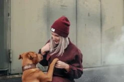 Schmuddelschnute Beanie Bordeaux 5 Schmuddelschnute Beanie Bordeaux -Katzen Hundebedarf Geschäft 231370 2