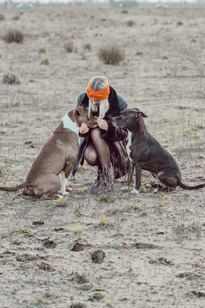 Schmuddelschnute Stirnband Kürbis 4 Schmuddelschnute Stirnband Kürbis – Bild 2