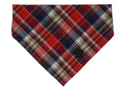 Schmuddelschnute Bandana Schwarz