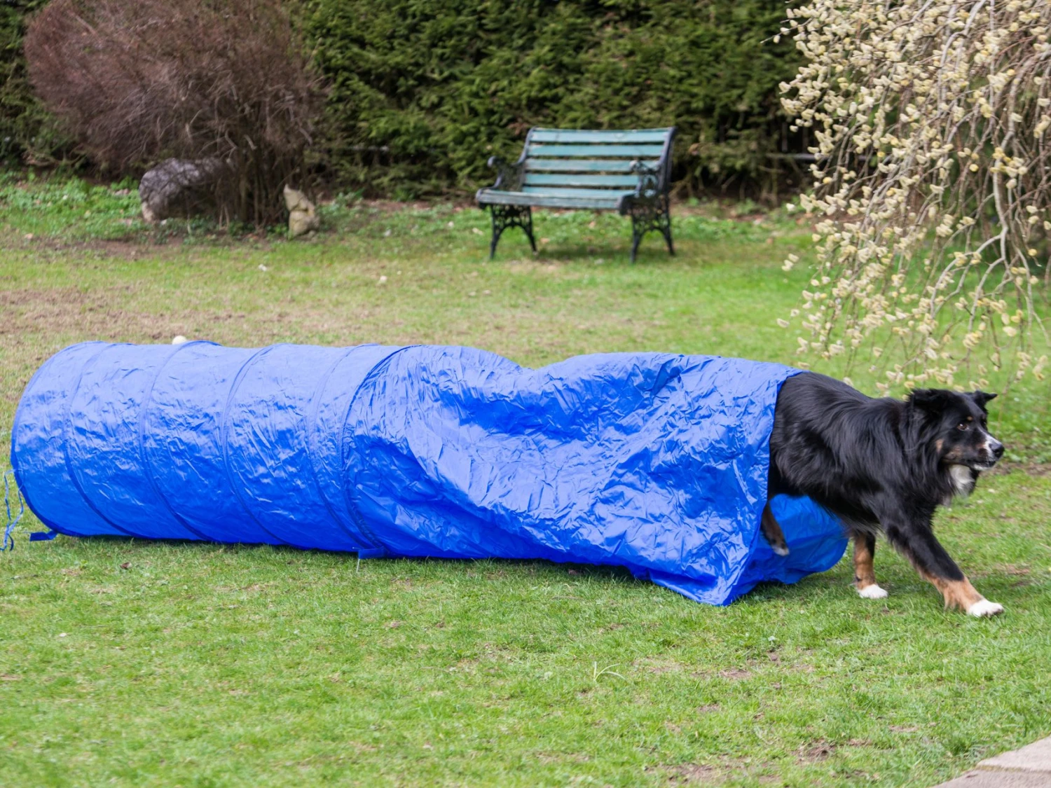 Procyon Sacktunnel 3m X 60 Cm 3 Procyon Sacktunnel 3m X 60 Cm