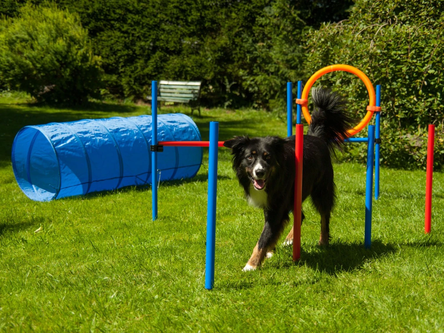 Procyon Agility Set K2 1 Tunnel, 4 Slalomstangen, 1 Sprung, 1 Sprungring Ø 41cm 4 Procyon Agility Set K2 1 Tunnel, 4 Slalomstangen, 1 Sprung, 1 Sprungring Ø 41cm – Bild 2