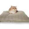 Darling Little Place Kissen Reed Solid S 55 X 55 Cm X 10 Cm 1 Darling Little Place Kissen Reed Solid S 55 X 55 Cm X 10 Cm -Katzen Hundebedarf Geschäft 3055070102