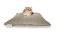 Darling Little Place Kissen Reed Solid S 55 X 55 Cm X 10 Cm