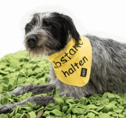 Knauder's Best Halstuch Abstand Halten Ca. 60 Cm, Gelb 7 Knauder's Best Halstuch Abstand Halten Ca. 60 Cm, Gelb -Katzen Hundebedarf Geschäft 31036.d