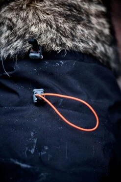 Katzen Hundebedarf Geschäft -Katzen Hundebedarf Geschäft 3273.n 7