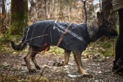 Non-Stop Trekking Regenmantel Schwarz -Katzen Hundebedarf Geschäft 3273.n 9
