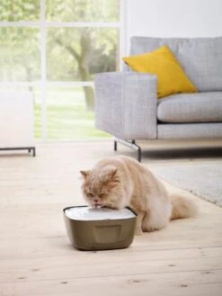 Katzen-Trinkbrunnen Volcano 2.5 L -Katzen Hundebedarf Geschäft 40302 2