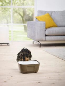 Katzen-Trinkbrunnen Volcano 2.5 L -Katzen Hundebedarf Geschäft 40302 3