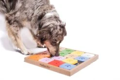 My Intelligent Pets Dog's SUDOKU M Genie Color Ca. 36 X 36 X 3 Cm -Katzen Hundebedarf Geschäft 409046 3