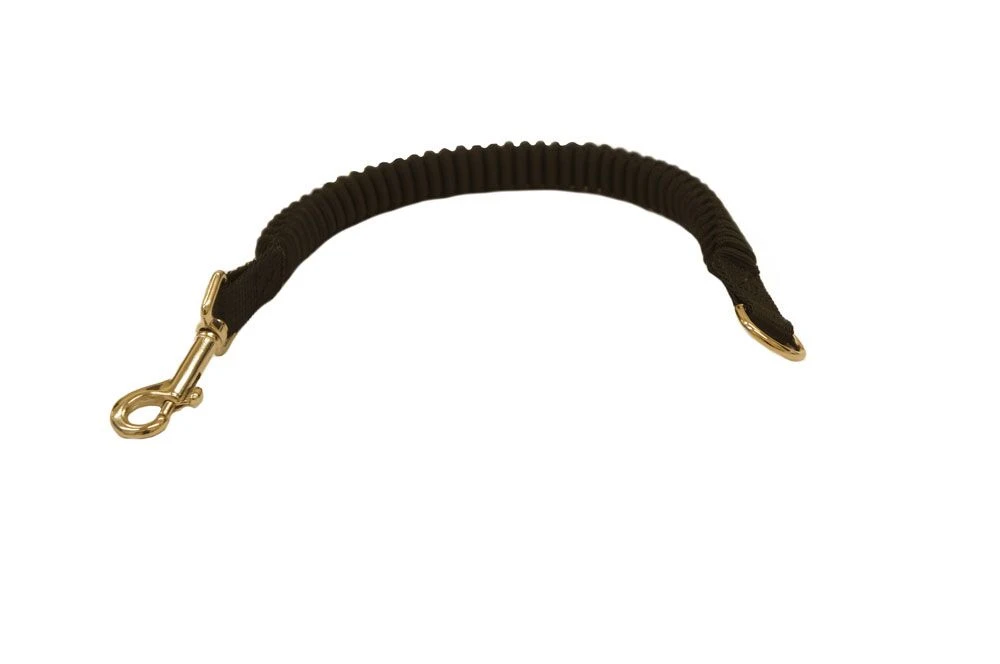 Leinen Ruckdämpfer 1.7 Cm, 40 Cm Für Kleine Hunde 3 Leinen Ruckdämpfer 1.7 Cm, 40 Cm Für Kleine Hunde