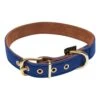 Dogius Halsband Athene Blau -Katzen Hundebedarf Geschäft 463148 3