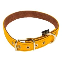 Dogius Halsband Athene Gelb