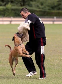 Schweikert Schutzhose Aero Dynamic Schwarz - Rot