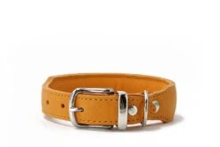 Maul Halsband Mono Pop Maisgelb / Silber