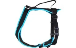 Grossenbacher Geschirr Vary Verstellbar -Katzen Hundebedarf Geschäft 51017001