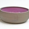 Treusinn Keramiknapf PUR Beere -Katzen Hundebedarf Geschäft 60124