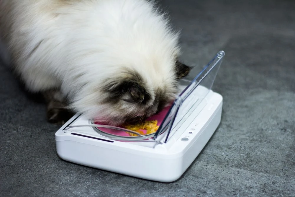 SureFeed Futterschale Luftdicht Grau Gsamtgrösse: 23.5 X 21 X 7.3 Cm Masse Schale: 10.5 X 16 X 3 Cm, 400ml 7 SureFeed Futterschale Luftdicht Grau Gsamtgrösse: 23.5 X 21 X 7.3 Cm Masse Schale: 10.5 X 16 X 3 Cm, 400ml – Bild 5