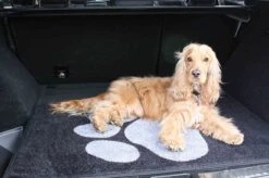 Pet Rebellion Kofferraum-Matte Schwarz 67 X 100 Cm -Katzen Hundebedarf Geschäft 629076 4