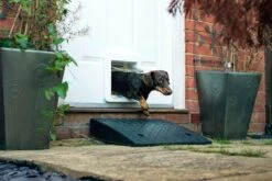 SureFlap Haustierklappe CONNECT XL Weiss 15 SureFlap Haustierklappe CONNECT XL Weiss -Katzen Hundebedarf Geschäft 629214 6