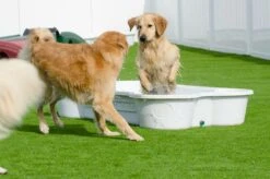 Hundepool In Knochenform Weiss 9 Hundepool In Knochenform Weiss -Katzen Hundebedarf Geschäft 7100.006 3 5