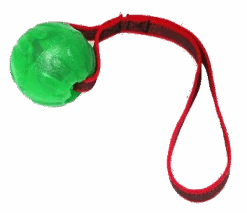 Everlasting Fun Ball Mit Schlaufe