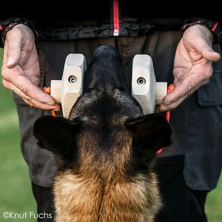 KnutFuchs IPO-Apportierholz 650g Havatar 4 KnutFuchs IPO-Apportierholz 650g Havatar – Bild 2