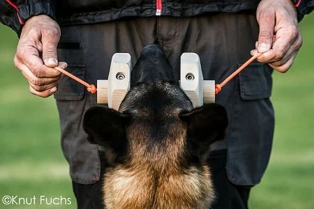 KnutFuchs IPO-Apportierholz 650g Havatar 5 KnutFuchs IPO-Apportierholz 650g Havatar – Bild 3