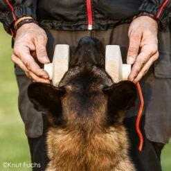 KnutFuchs IPO-Apportierholz 650g Havatar 15 KnutFuchs IPO-Apportierholz 650g Havatar -Katzen Hundebedarf Geschäft 7281406 5